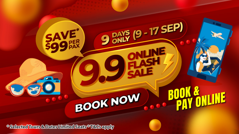 9.9 FLASH SALE
