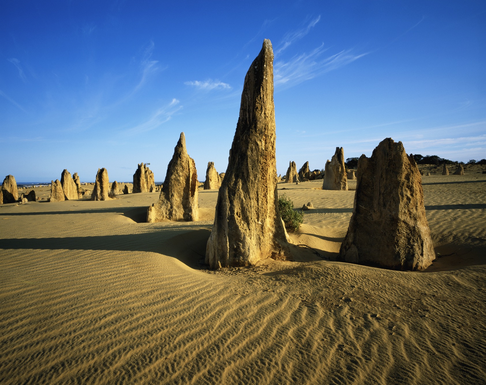 5D4N Perth Extravaganza