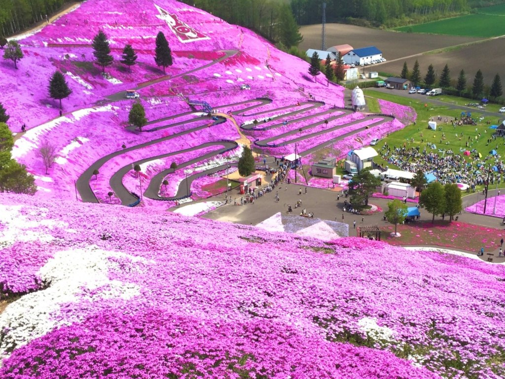 6D HOKKAIDO HIGHLIGHTS + Flower Viewing Minitour