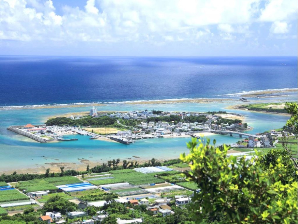 6D OKINAWA + OJIMA ISLAND Minitour