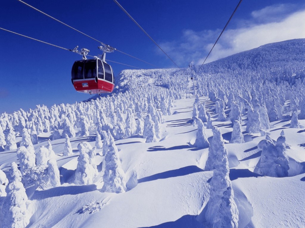 7D TOHOKU Minitour