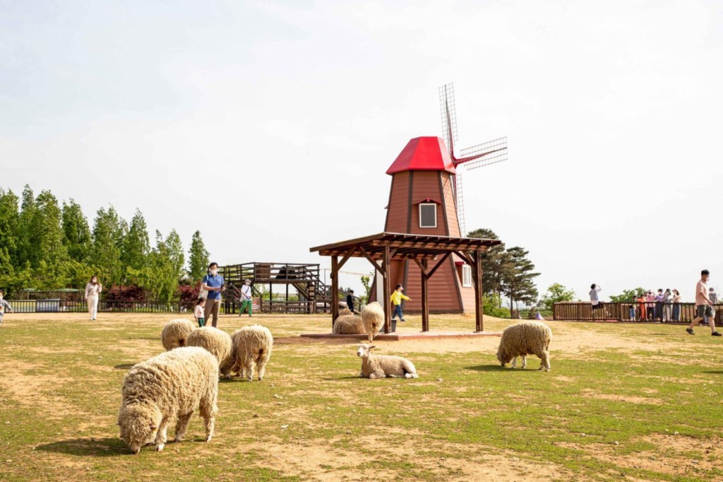 6D Gyeonggi Wonders & Seoul Highlights