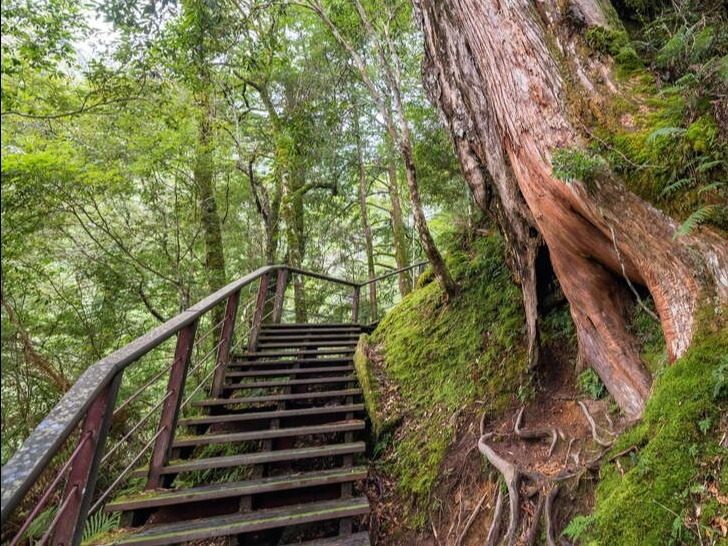 5D Summer Peachy Taiwan Getaway