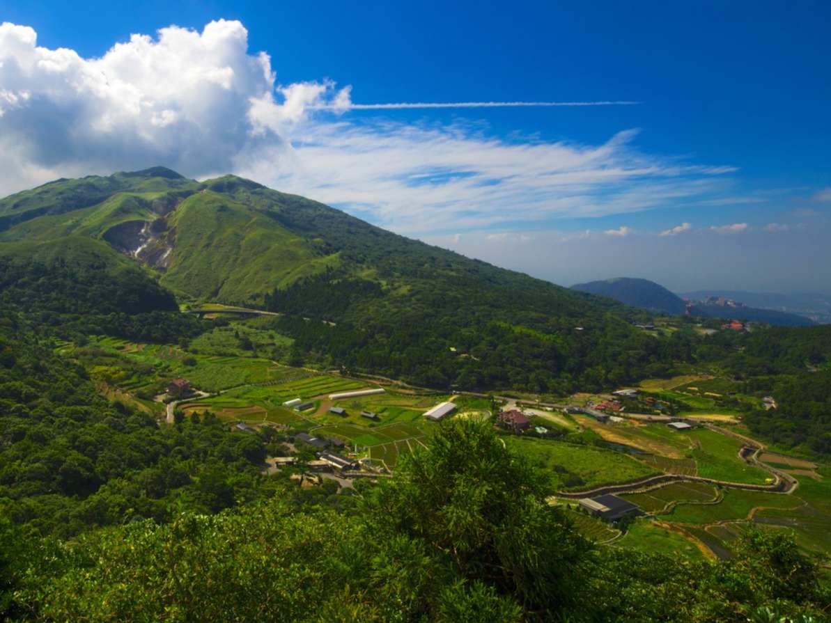 6D Discovering Taiwan's Alleyway Cuisine