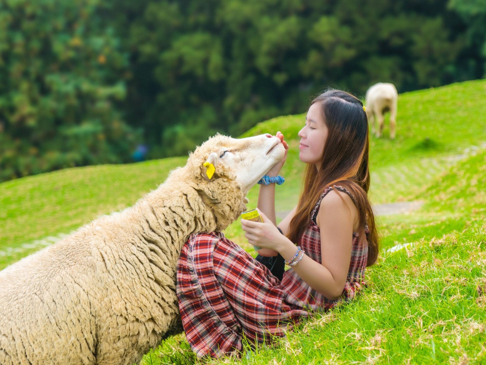 6D Taiwan Farm Family Fun