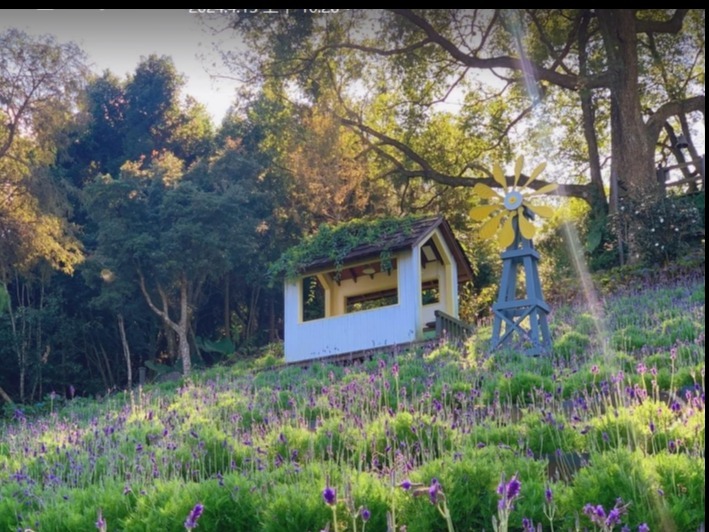 6D Taiwan Flower Town Explorer